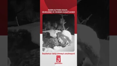 Kanal 3Cts, Nisan 4, 2026 12:00pmURL:Embed:Karın altında kaldı… Silkelendi ve