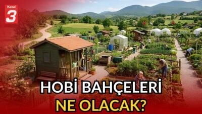 📶https://kanal3.com.tr/ Sosyal Medya Hesaplarımızı Takip Ederek Son Dakika Haberleri Alabilirsiniz;