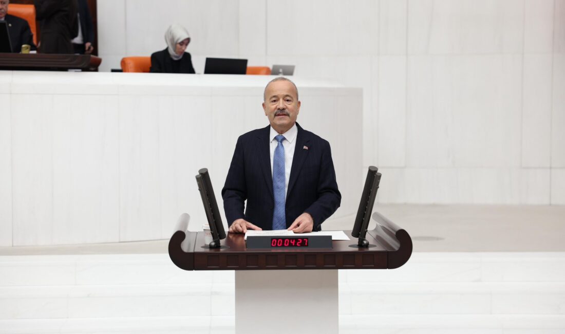 Milliyetçi Hareket Partisi Afyonkarahisar Milletvekili Mehmet Taytak, Türkiye Büyük Millet