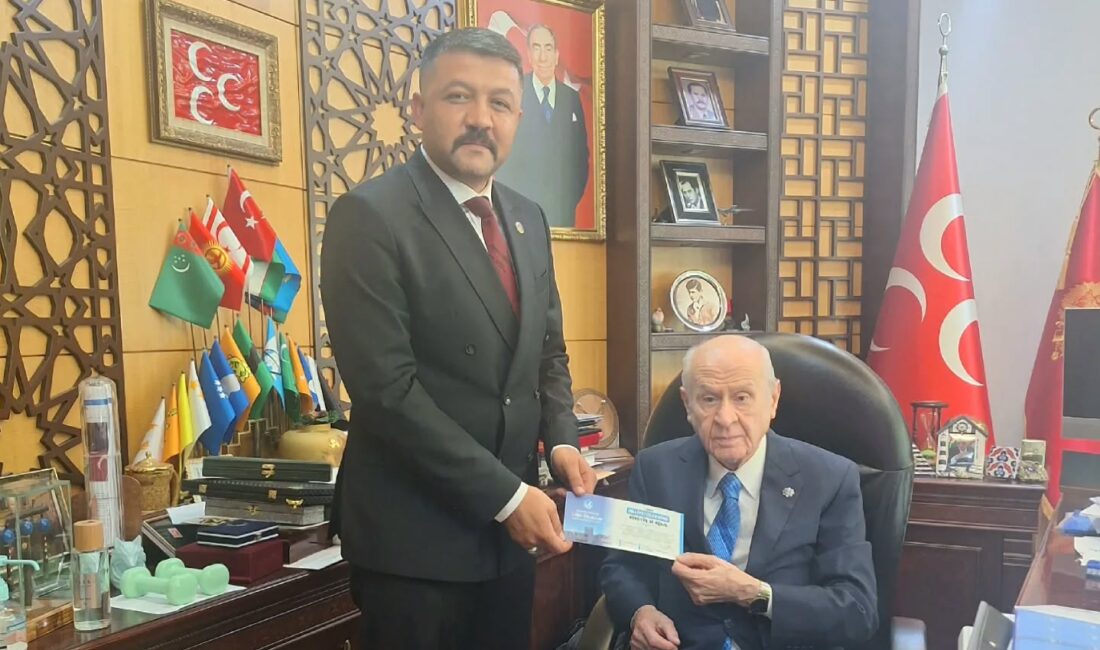 Afyonkarahisar Ülkü Ocakları İl Başkanı Mesut Çetinkaya, Milliyetçi Hareket Partisi