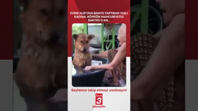 Kanal 3Per, Nisan 2, 2026 8:00amURL:Embed:Evine alıp ona banyo yaptıran