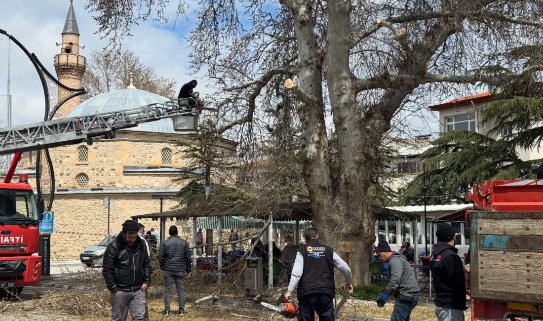 Bolvadin’in tarihi ve doğal mirasının en önemli sembollerinden biri olan