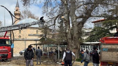 Bolvadin’in tarihi ve doğal mirasının en önemli sembollerinden biri olan