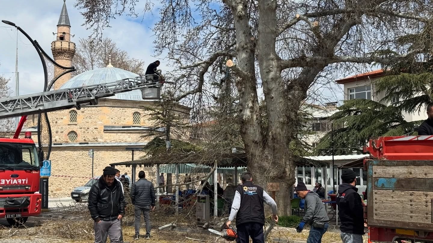 Bolvadin’in tarihi ve doğal mirasının en önemli sembollerinden biri olan