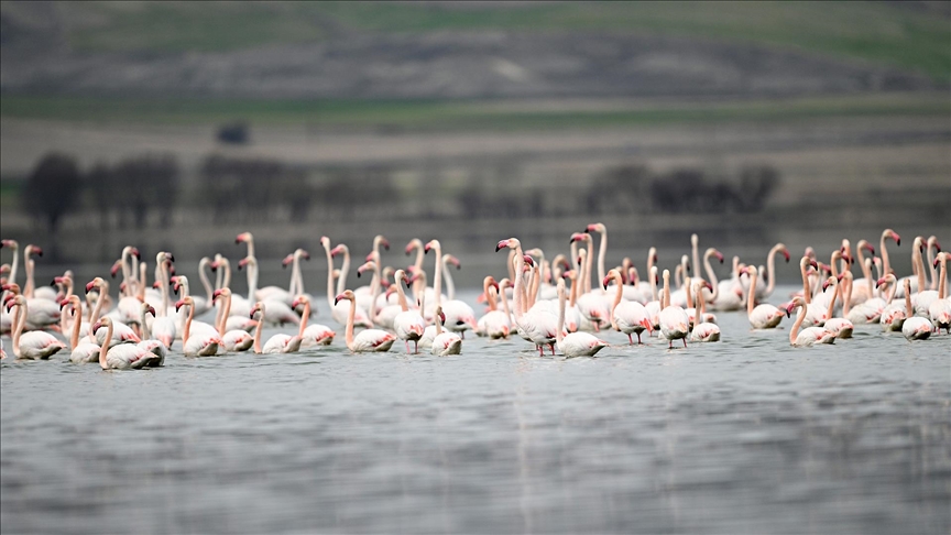 Kayseri'nin Sarıoğlan ilçesi sınırlarında bulunan ve son aylarda etkili olan