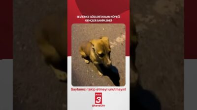 Kanal 3Çar, Nisan 22, 2026 12:01pmURL:Embed:Sevilince gözleri dolan köpeği gençler