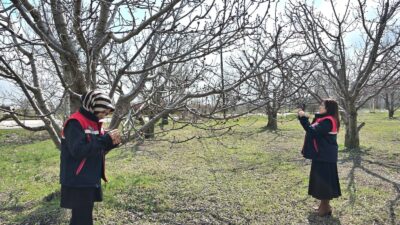 Afyonkarahisar’da zirai don uyarısı sonrası tarımsal alanlarda hasar tespit çalışmaları