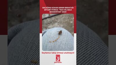 📶https://kanal3.com.tr/ Sosyal Medya Hesaplarımızı Takip Ederek Son Dakika Haberleri Alabilirsiniz;