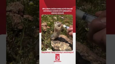 Kanal 3Cts, Nisan 25, 2026 10:01amURL:Embed:Bir çoban, dağda karşılaştığı sincabı