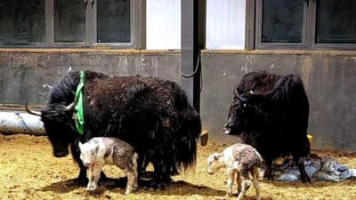 Çin’in Xizang (Tibet) Özerk Bölgesi, bilim tarihine geçecek büyük bir