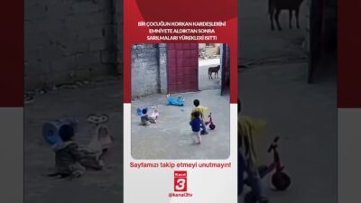Bir çocuğun korkan kardeşlerini emniyete aldıktan sonra sarılmaları yürekleri ısıttı…