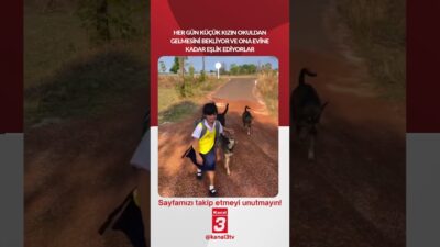 Kanal 3Cts, Nisan 25, 2026 4:01pmURL:Embed:Her gün küçük kızın okuldan