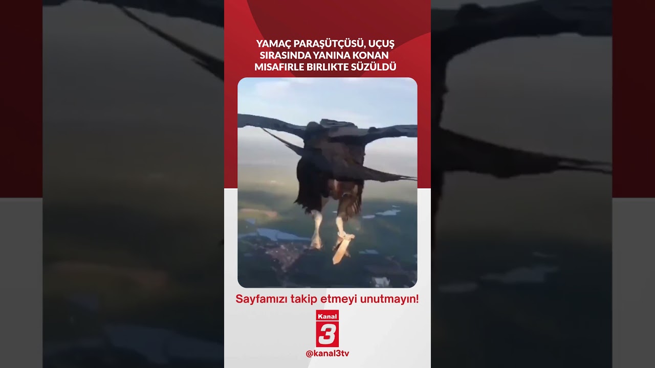 Yamaç paraşütçüsü, uçuş sırasında yanına konan misafirle birlikte süzüldü… 📶https://kanal3.com.tr/