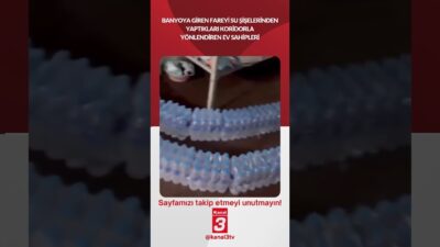Kanal 3Paz, Nisan 26, 2026 2:00pmURL:Embed:Banyoya giren fareyi su şişelerinden