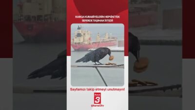 📶https://kanal3.com.tr/ Sosyal Medya Hesaplarımızı Takip Ederek Son Dakika Haberleri Alabilirsiniz;