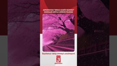 Japonya’da “Kiraz çiçeği sezonu” güzelliği böyle görüntülendi… https://kanal3.com.tr/ Sosyal Medya