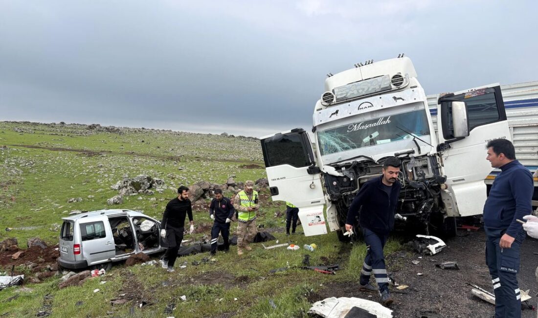 Şanlıurfa’nın Siverek ilçesinde bir TIR ile hafif ticari aracın kafa