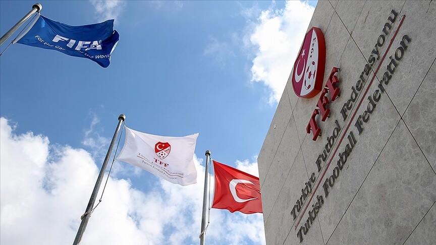 Türkiye Futbol Federasyonu (TFF) Tahkim Kurulu, Profesyonel Futbol Disiplin Kurulu