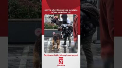 Kanal 3Per, Nisan 2, 2026 2:01pmURL:Embed:Rize’de köpeğe elleriyle su içiren