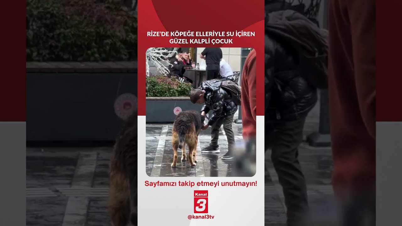 Rize’de köpeğe elleriyle su içiren güzel kalpli çocuk sosyal medyada
