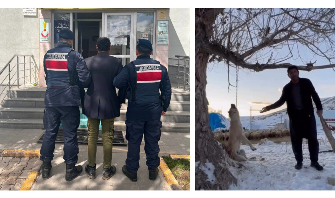 Kayseri'nin Pınarbaşı ilçesinde yemek yetmediğini ileri sürerek zincirle ağacı astığı