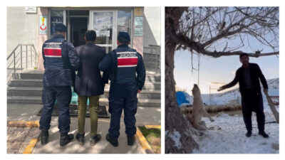 Kayseri'nin Pınarbaşı ilçesinde yemek yetmediğini ileri sürerek zincirle ağacı astığı