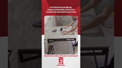 Mutfağı dar olan bir aile, marangozun ilginç çözümüyle fonksiyonel bir