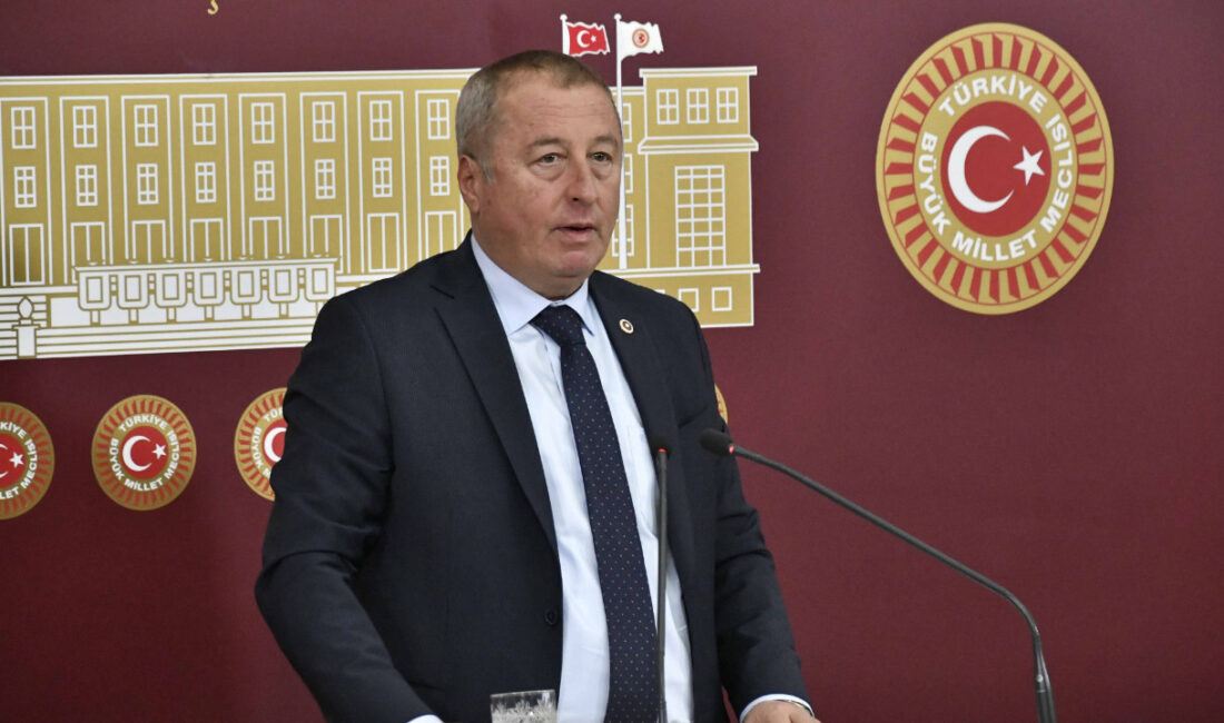 İYİ Parti Genel Başkan Yardımcısı ve Afyonkarahisar Milletvekili Hakan Şeref
