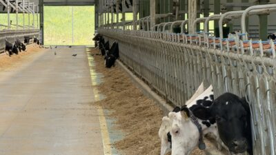 Afyonkarahisar’ın Bolvadin İlçe Belediye Başkanı Derviş Aynacı, kardeş coğrafya Azerbaycan’a