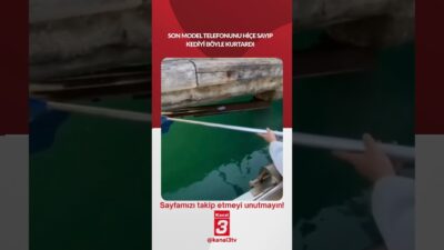 Türkiye’deki bir adam, denizden bir kedinin miyavladığını duydu, bu yüzden