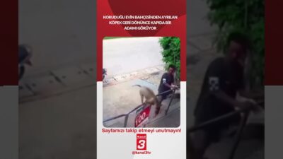 Kanal 3Per, Mayıs 7, 2026 6:30amURL:Embed:Koruduğu evin bahçesinden ayrılan köpek