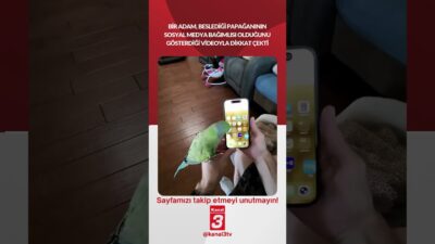 Bir adam, beslediği papağanının sosyal medya bağımlısı olduğunu gösterdiği videoyla