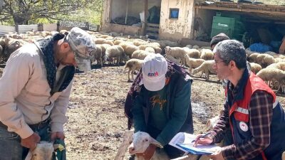 Afyonkarahisar Tarım ve Orman Müdürlüğü, hayvancılıkta verimliliği artırmak amacıyla yürüttüğü