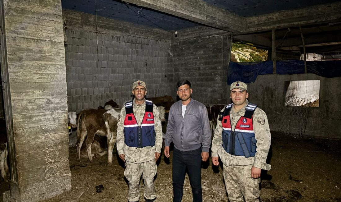 Umutların tükendiği anda jandarma devreye girdi Kilis’in Merkez ilçesine bağlı