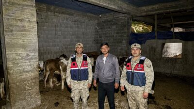 Umutların tükendiği anda jandarma devreye girdi Kilis’in Merkez ilçesine bağlı