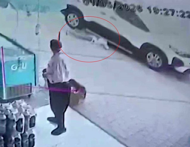 Adana'da terliğini almak için altına girdiği park halindeki hafif ticari
