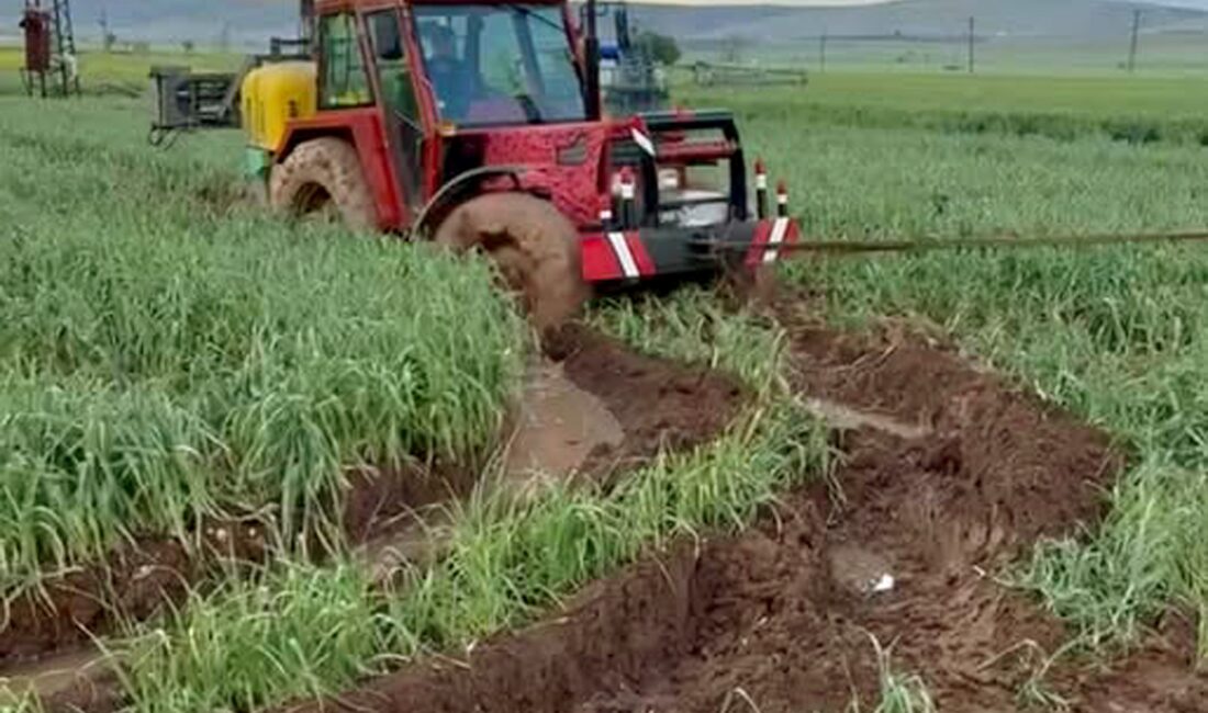 Gaziantep’in Araban ilçesinde her yıl nisan ayı ortalarında büyük bir