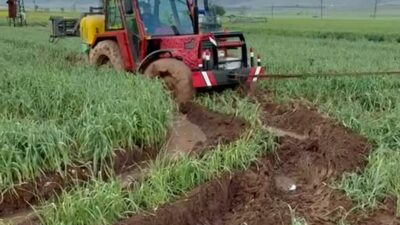 Gaziantep’in Araban ilçesinde her yıl nisan ayı ortalarında büyük bir