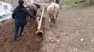 Van’ın Bahçesaray ilçesinde doğanın geçit vermez sarp coğrafyası, çiftçileri yeniden