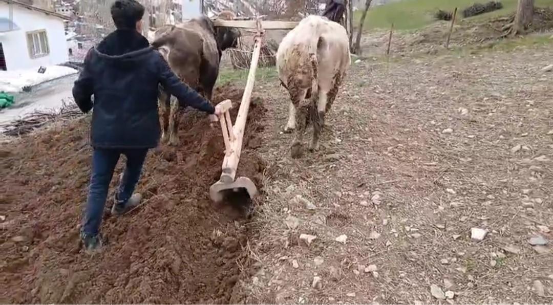 Van’ın Bahçesaray ilçesinde doğanın geçit vermez sarp coğrafyası, çiftçileri yeniden