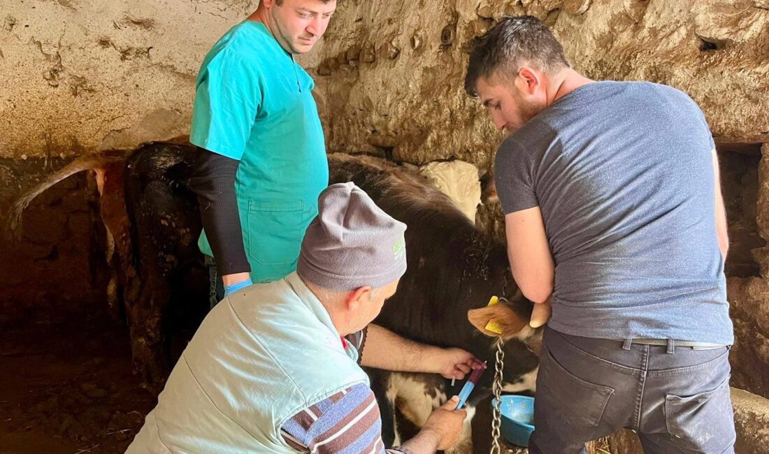 Afyonkarahisar’ın İhsaniye ilçesinde, hayvancılık sektörünü tehdit eden en büyük bulaşıcı