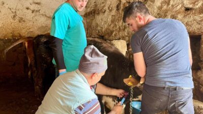 Afyonkarahisar’ın İhsaniye ilçesinde, hayvancılık sektörünü tehdit eden en büyük bulaşıcı