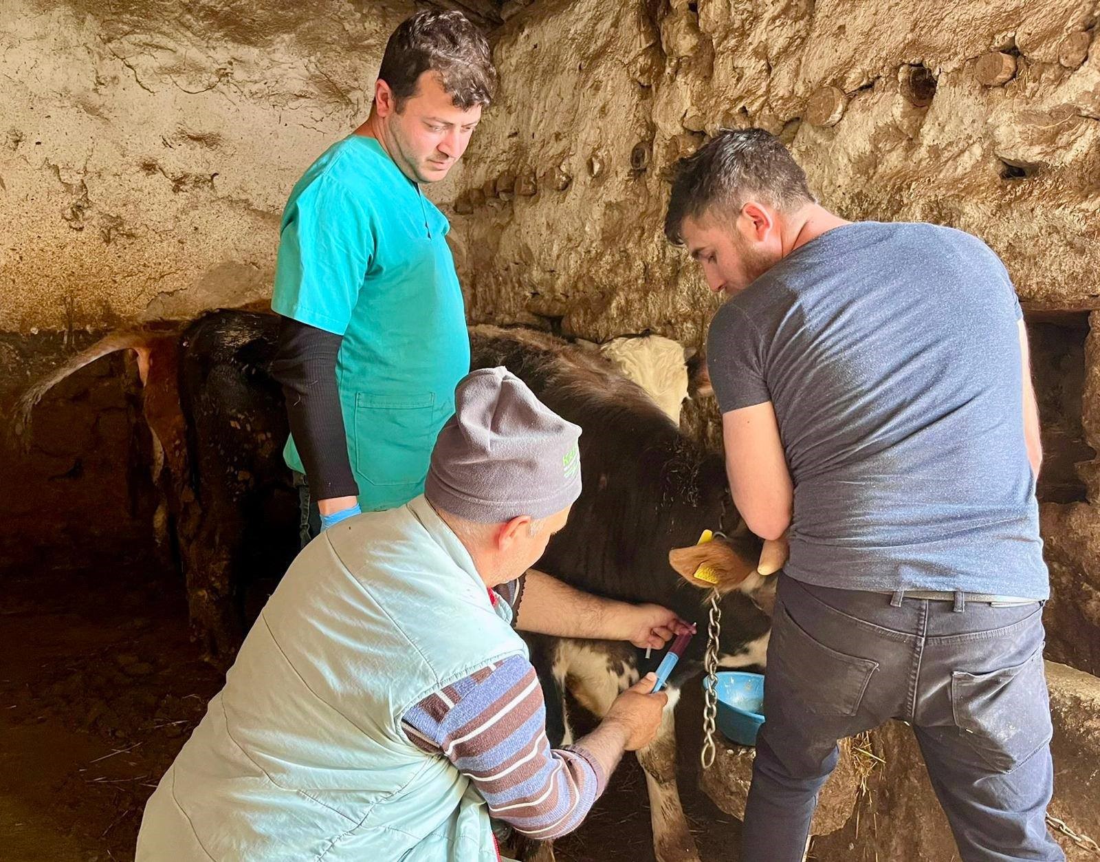 Afyonkarahisar’ın İhsaniye ilçesinde, hayvancılık sektörünü tehdit eden en büyük bulaşıcı