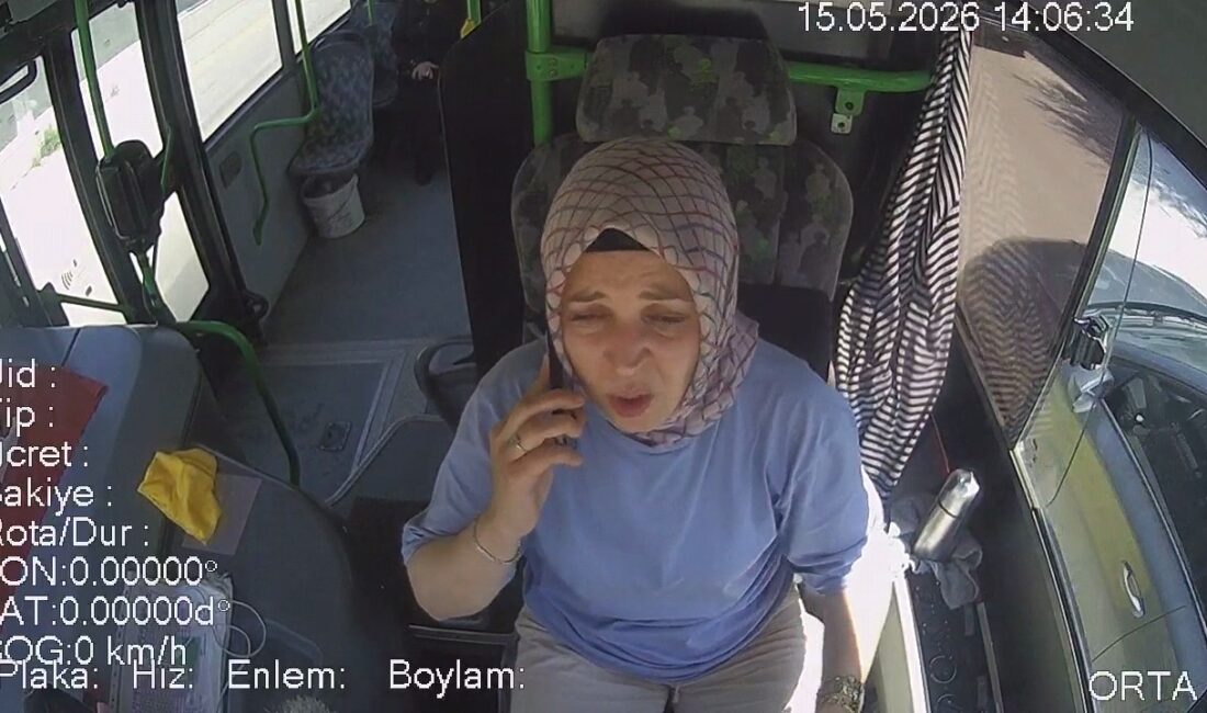 Bursa'nın İnegöl ilçesinde, Alanyurt güzergahında seyir halinde olan bir halk