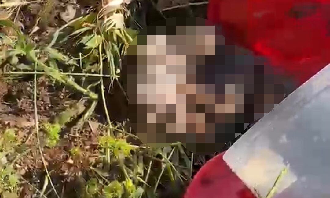 Şanlıurfa'da bir mezarlıkta vatandaşlar tarafından bulunan plastik bidonun içerisinden, üzerlerinde