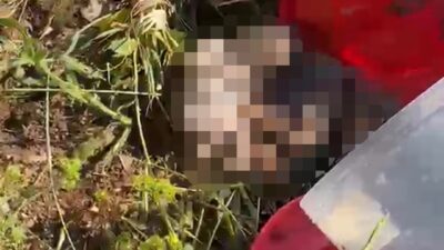 Şanlıurfa'da bir mezarlıkta vatandaşlar tarafından bulunan plastik bidonun içerisinden, üzerlerinde