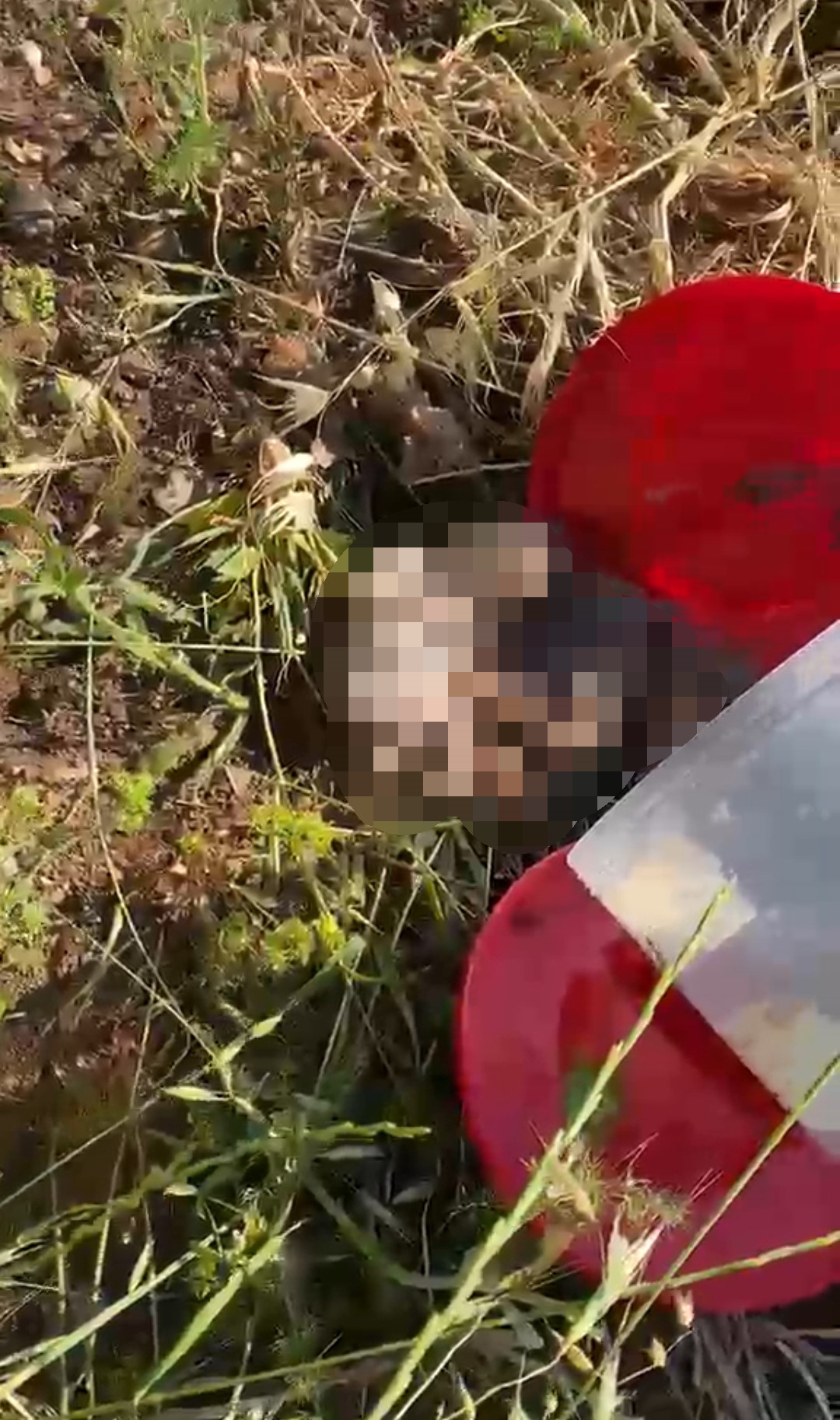 Şanlıurfa'da bir mezarlıkta vatandaşlar tarafından bulunan plastik bidonun içerisinden, üzerlerinde