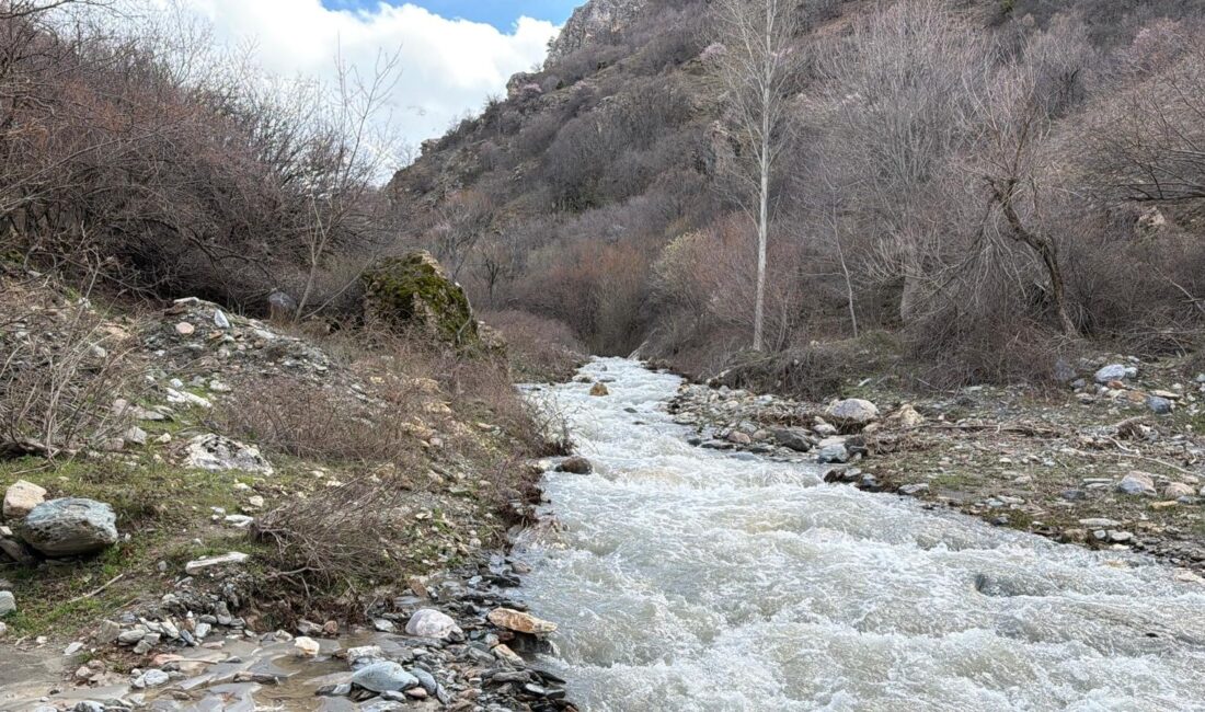 Afyonkarahisar’ın Çay ilçesinde, son günlerde etkili olan yoğun yağışlar ve