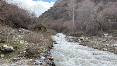 Afyonkarahisar’ın Çay ilçesinde, son günlerde etkili olan yoğun yağışlar ve