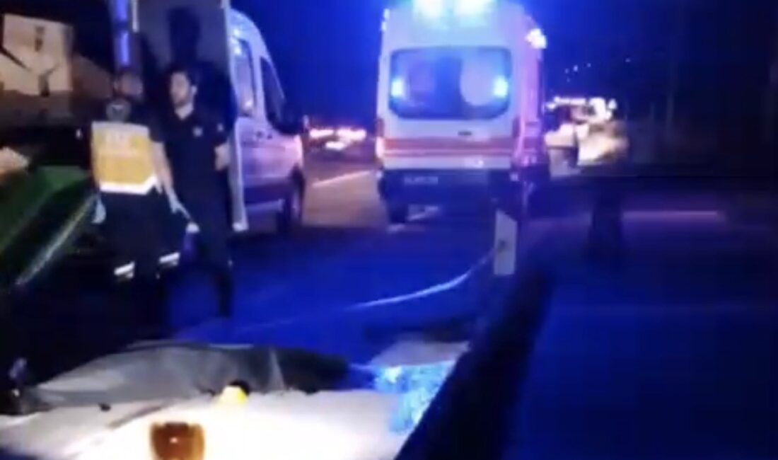 Muğla’nın Bodrum ve Milas ilçelerini birbirine bağlayan karayolunda dün akşam